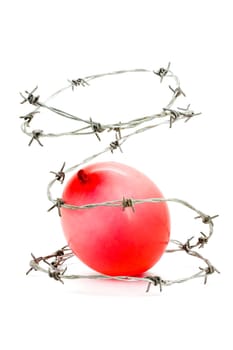 Barbed wire around a red balloon on a white background