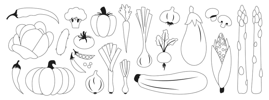 Fresh vegetables including asparagus, eggplant and corn. Onions, beets and pumpkin. Tomato, cucumber and pepper.