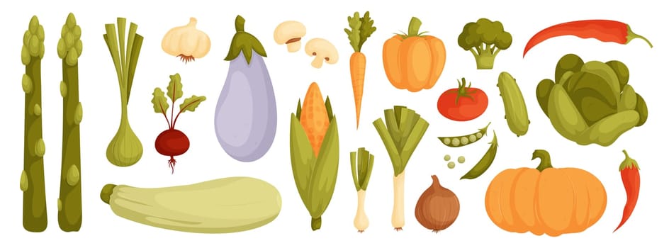 Colorful and Detailed Illustrations of Fresh Vegetables Including Asparagus, Eggplant, Corn, and More. Perfect for Healthy Eating Promotions and Educational Materials.