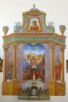 Altar of Saint Vitus in the Parish Church of the Assumption of the Virgin Mary in Brezovica, Croatia