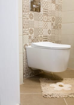 Detail of the interior of the toilet with stylish furnishings
