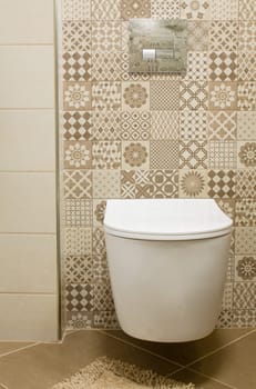 Detail of the interior of the toilet with stylish furnishings