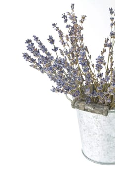 Leaves of dried lavender in a metal pot