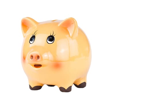 Porcelain piggy bank isolated on white background