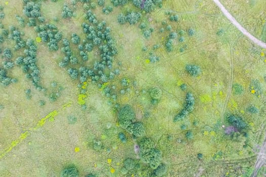 Top view of the village, fields and forests near the village