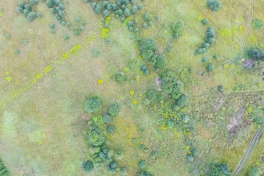 Top view of the village, fields and forests near the village