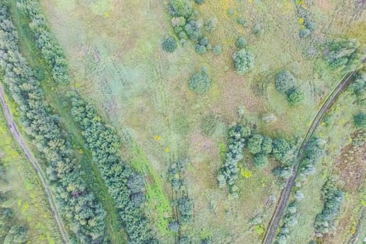 Top view of the village, fields and forests near the village