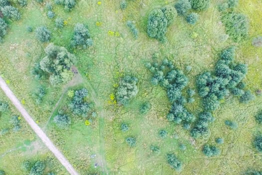 Top view of the village, fields and forests near the village