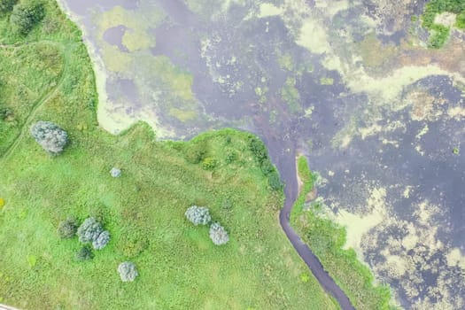 Top view of the village, fields and forests near the village