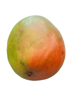 Mango fruits are counted as fruit. There are now over 1000 types of mango that differ in shape, size and taste.