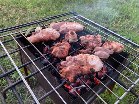 The barbecue grill is burning for frying shashlik on the coals