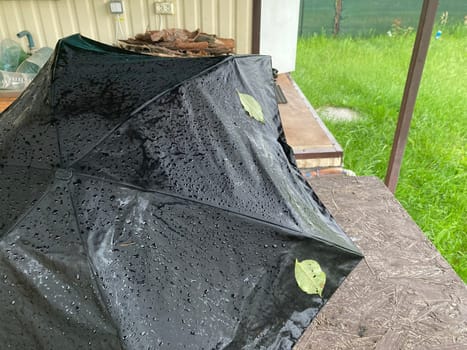 A tree leaf stuck to an umbrella in a the rain