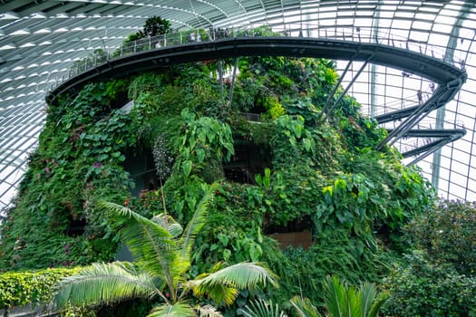 Cloud Forest in the Gardens by the Bay nature park in Singapore.