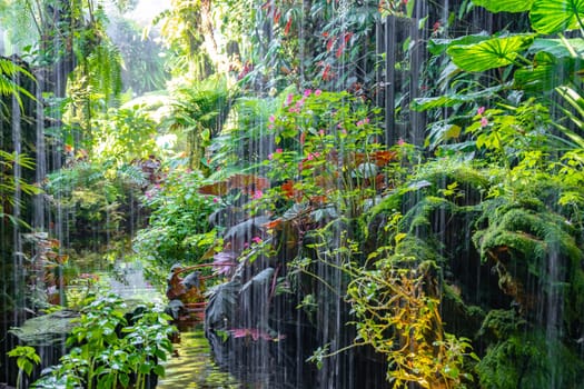 Cloud Forest in the Gardens by the Bay nature park in Singapore.