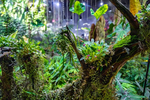 Cloud Forest in the Gardens by the Bay nature park in Singapore.