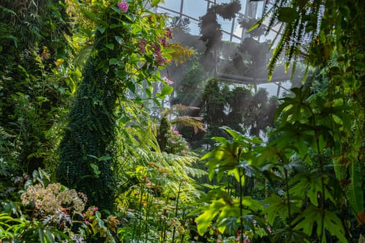 Cloud Forest in the Gardens by the Bay nature park in Singapore.