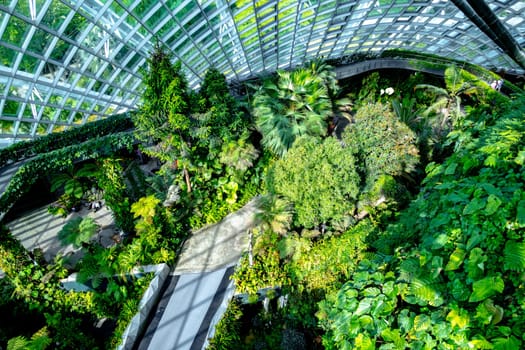 Cloud Forest in the Gardens by the Bay nature park in Singapore.