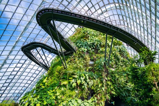 Cloud Forest in the Gardens by the Bay nature park in Singapore.