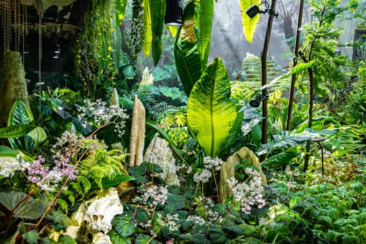 Cloud Forest in the Gardens by the Bay nature park in Singapore.