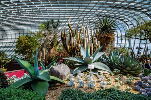 Interior of the Flower Dome in the Gardens by the Bay nature park in Singapore.