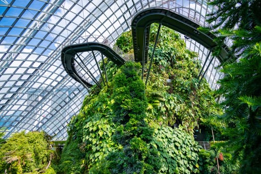 Cloud Forest in the Gardens by the Bay nature park in Singapore.