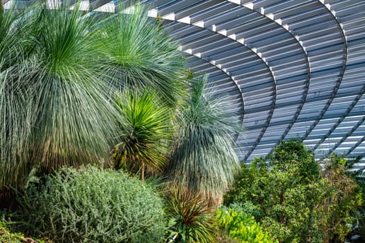 Interior of the Flower Dome in the Gardens by the Bay nature park in Singapore.