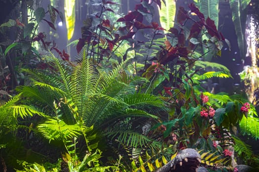Cloud Forest in the Gardens by the Bay nature park in Singapore.