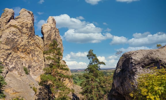 Part of the Devil's Wall (Teufelsmauer), a rock formation made of sandstone, Harz Mountains, Germany