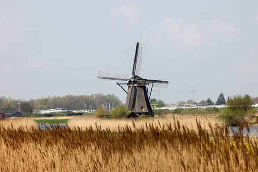 One of the 19 windmills at Kinderdijk in the Netherlands. Built about 1740, this is the largest concentration of windmills in the Netherlands, a UNESCO world heritage site.