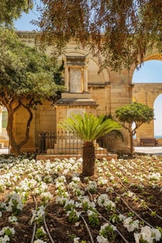 The lush and well-manicured Upper Barrakka Gardens provide a tranquil oasis in the heart of Valletta, Malta's capital city. Cultural heritage of Malta