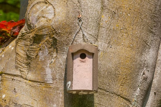 Wooden birdhouse hanging from a tree trunk, Germany