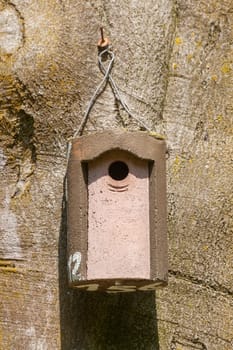 Wooden birdhouse hanging from a tree trunk, Germany