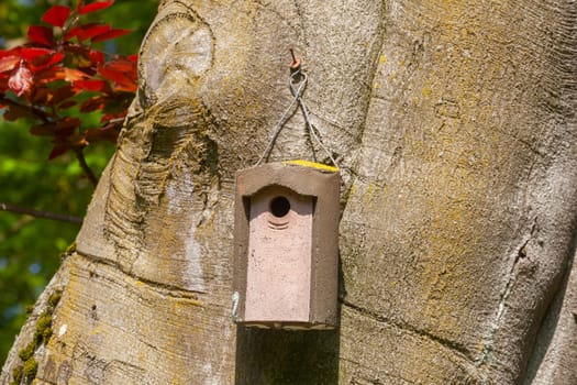 Wooden birdhouse hanging from a tree trunk, Germany