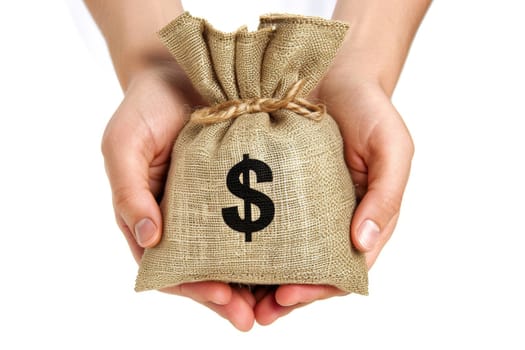 Hands holding a money bag with a dollar sign, financial security