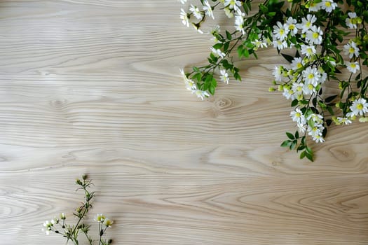 Light ash wood texture with subtle grain patterns, creating a fresh and airy feel