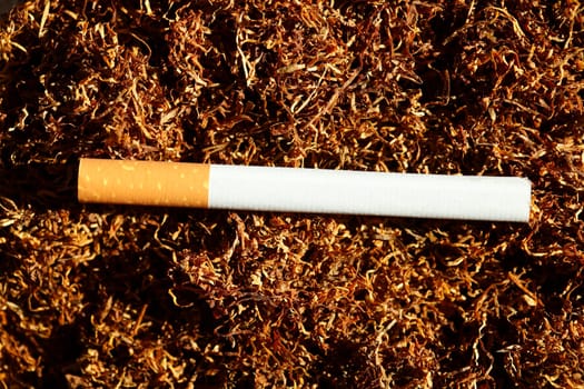 Cigarette lying on tobacco, Germany