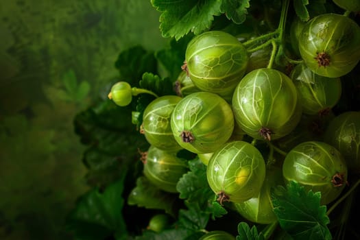 Tangy gooseberry with vibrant green color and translucent skin, adding brightness to any composition
