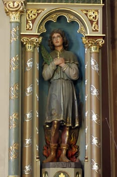Saint Vitus, statue on the altar of Saint Florian in the church of the Saint Peter in Ivanic Grad, Croatia