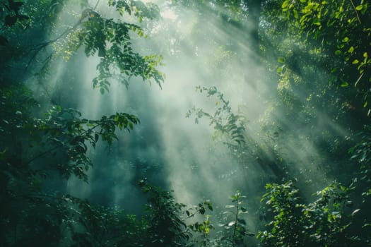 Wisps of fog in a dense forest