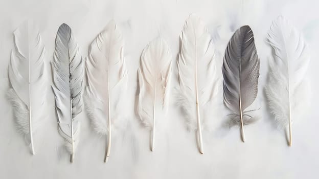 Delicate bohemian feathers arranged in a graceful composition on a clean white canvas