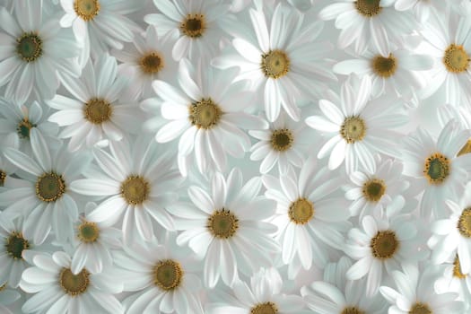 A close up of a bunch of white flowers with a yellow center. The flowers are arranged in a way that they look like they are in a field. The image has a peaceful and calming mood