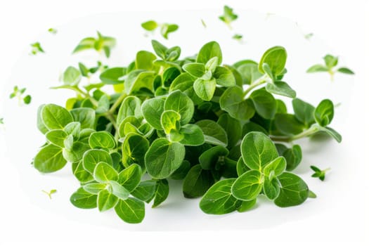 A bunch of fresh green herbs are piled on a white background. Concept of freshness and abundance, as the herbs are piled high