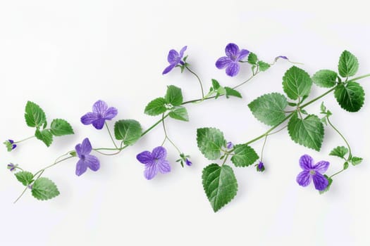 A purple flower with green leaves is shown in a line. The image has a calming and peaceful mood, as the purple flowers are often associated with relaxation and tranquility