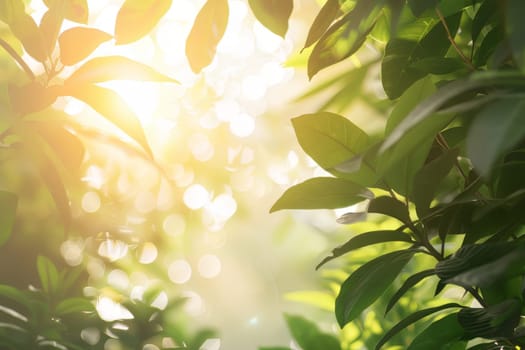 A tree with leaves is in the sun. The leaves are green and the sun is shining on them