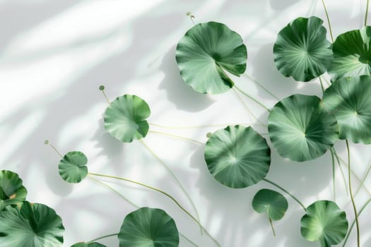 A bunch of green leaves are arranged in a row. The leaves are all different sizes and shapes. The leaves are arranged in a way that creates a sense of movement and flow