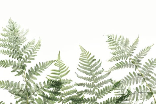 A close up of green leaves with a white background. The leaves are arranged in a way that creates a sense of depth and movement. The image conveys a feeling of growth and vitality