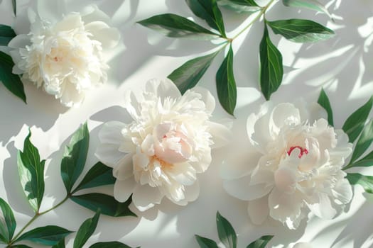 A white flower with pink petals is surrounded by green leaves. Concept of freshness and natural beauty