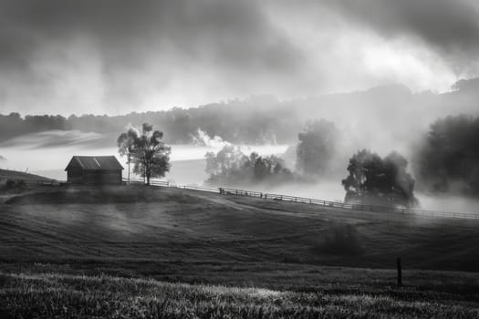 Rolling fog in a rural setting