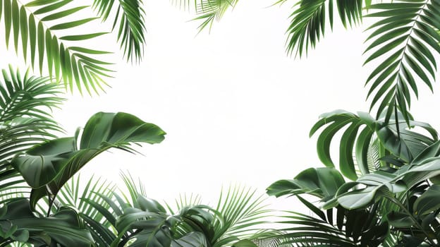 A lush green jungle with palm trees and leaves. The image is a beautiful and serene representation of nature