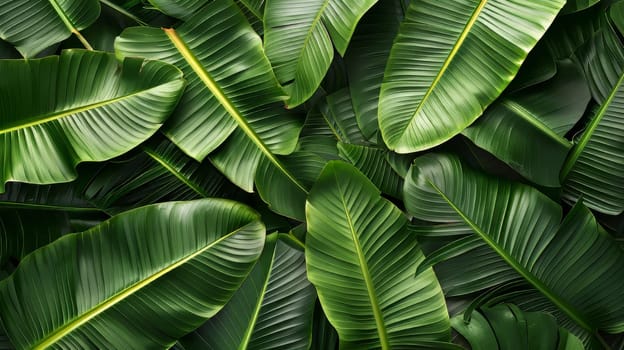 A close up of green leaves with a yellow stripe. The leaves are arranged in a way that creates a sense of depth and movement. The image conveys a feeling of growth and vitality